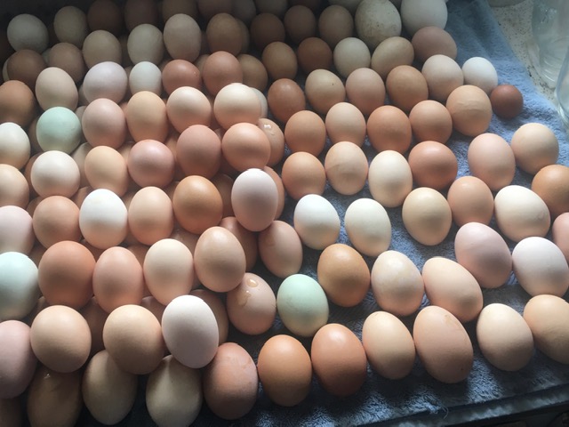 Living for Spring - Annie Carlson White